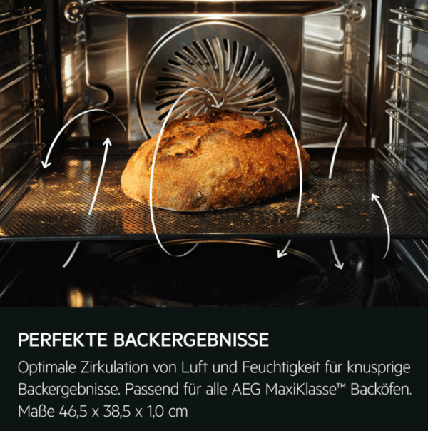 AEG BS9900T
